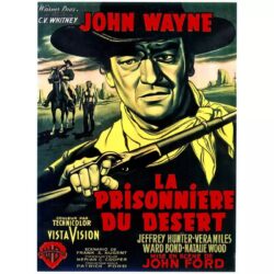 el prisionero del desierto cartel