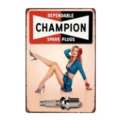 placa de correo electronico de campeon