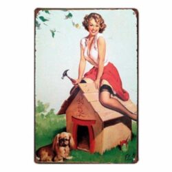 placa metal pin up 1