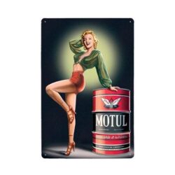 placa motul