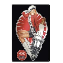 placa de metal vintage miss ngk