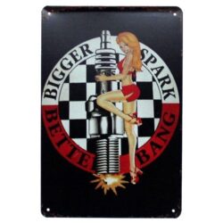 placa pin up