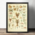 cartel de mariscos