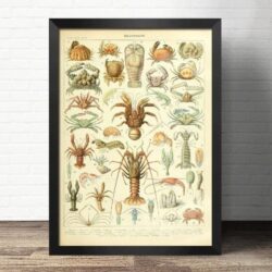 cartel de mariscos