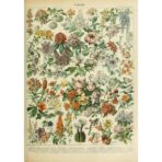 cartel flores vintage