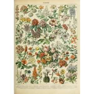 cartel flores vintage