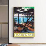 cartel lacanau 1