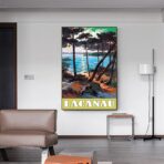 cartel lacanau 1