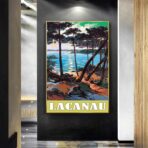 cartel lacanau 1