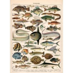 cartel vintage pescado