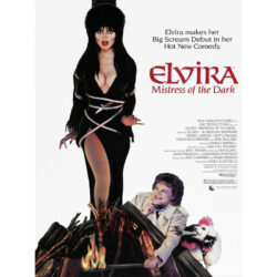 cartel elvira