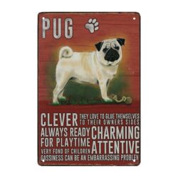 placa metal pug