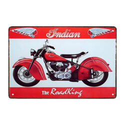 placa de metal india 2
