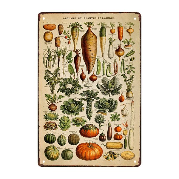 plato de verduras de metal plato de verduras de metal