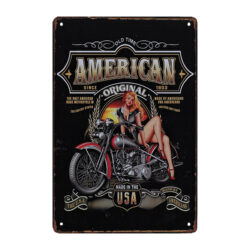pin up de motocicleta con placa de metal