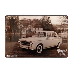 placa metalica del peugeot 403