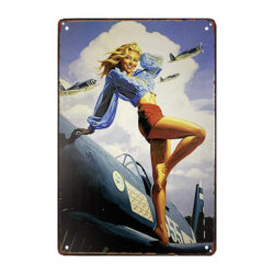 placa de metal pin up con avion